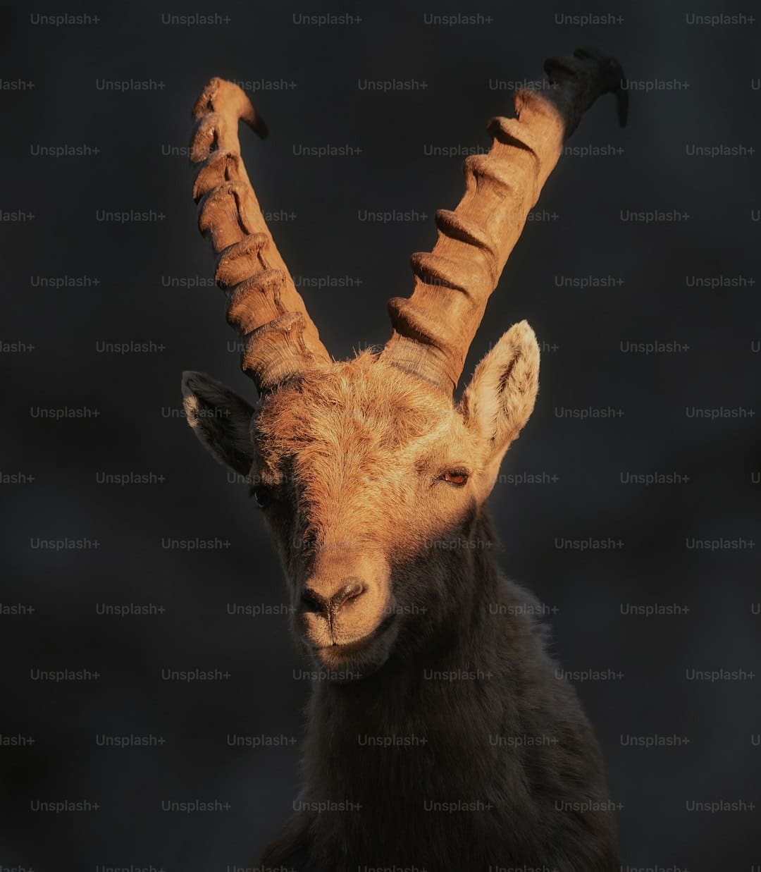 http://n.sinaimg.cn/news/transform/w600h400/20180313/LZOI-fyscsmu9330396.jpg?zdy